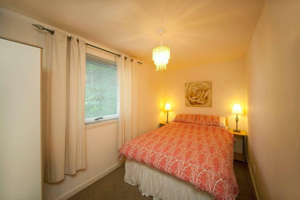 3 Albany Apartments - 奥本 外观 照片